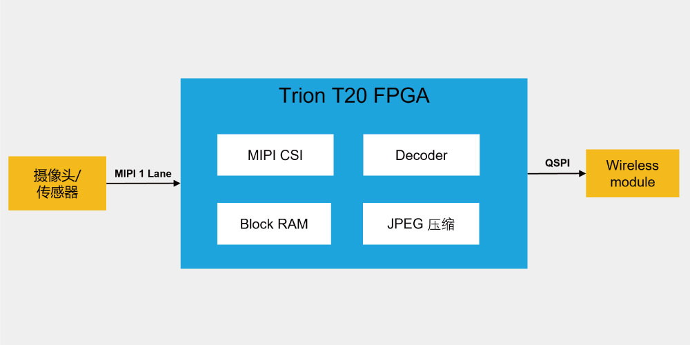 易灵思T20F169 FPGA